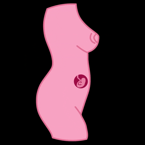 Educación sexual gif